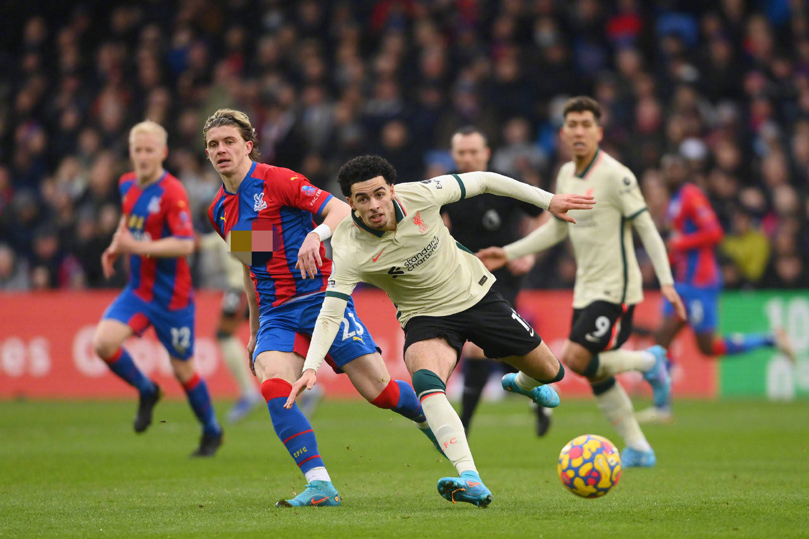 他们不仅可 他们不仅可